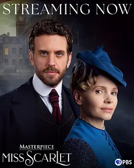 斯嘉丽小姐探案集 第六季